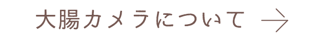 大腸カメラについて