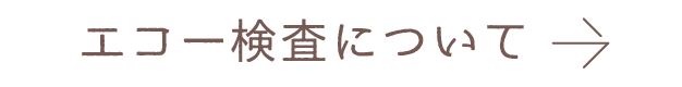 エコー検査について